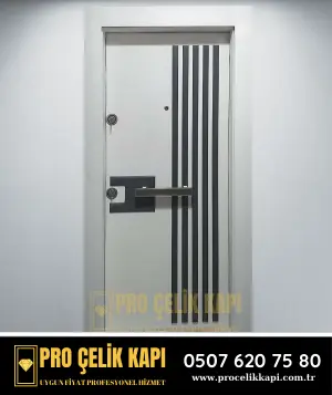 Avcılar Çelik Kapı - Plus 3